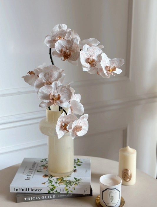 Thai Tea Phalaenopsis Orchids 3D 2Pcs